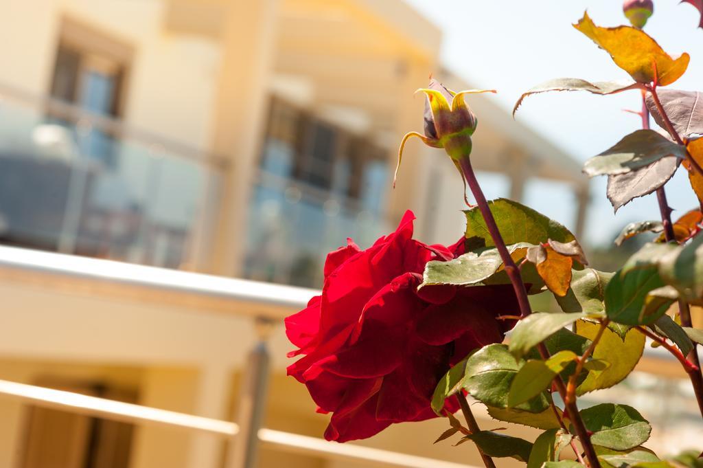 Villa Prigipessa Aγία Μαρίνα Εξωτερικό φωτογραφία