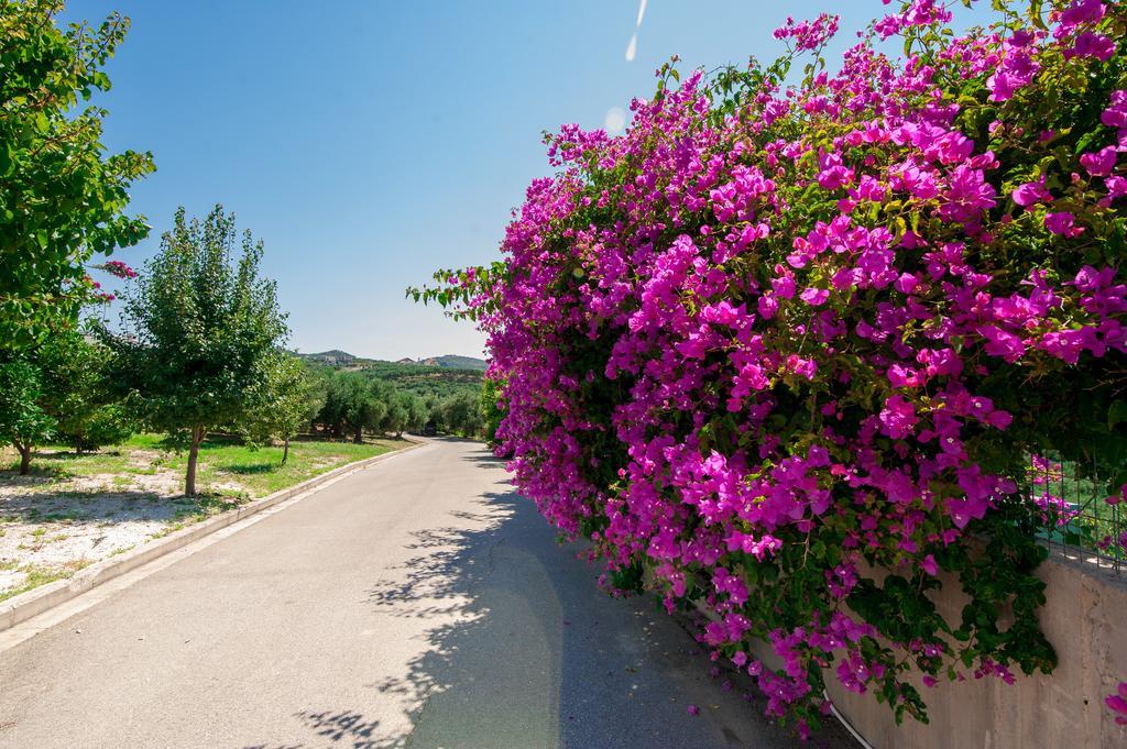 Villa Prigipessa Aγία Μαρίνα Εξωτερικό φωτογραφία